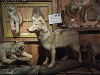 084 Sugar Shack