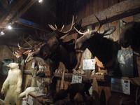 085 Sugar Shack