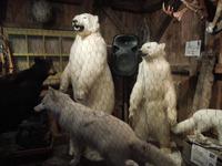 086 Sugar Shack