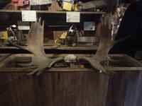 087 Sugar Shack