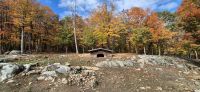 087 Wildschwein Chalet