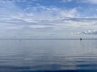 10. Reisetag – Ausflug nach Tadoussac – Walbeobachtung auf dem Sankt-Lorenz-Strom