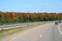 Indian Summer an der Autobahn