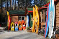 Auf zur Kanutour im Algonquin-Nationalpark