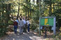 Wanderung am Hardwood Lookout Trail