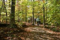 Wanderung am Hardwood Lookout Trail