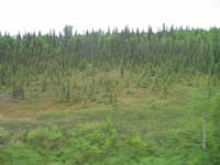 Zugfahrt Denali Star Gold Service von Anchorage nach Fairbanks