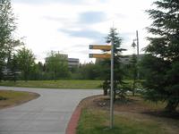 Abendspaziergang in Fairbanks