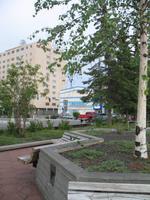 Abendspaziergang in Fairbanks