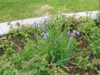 Stadtrundgang in Fairbanks