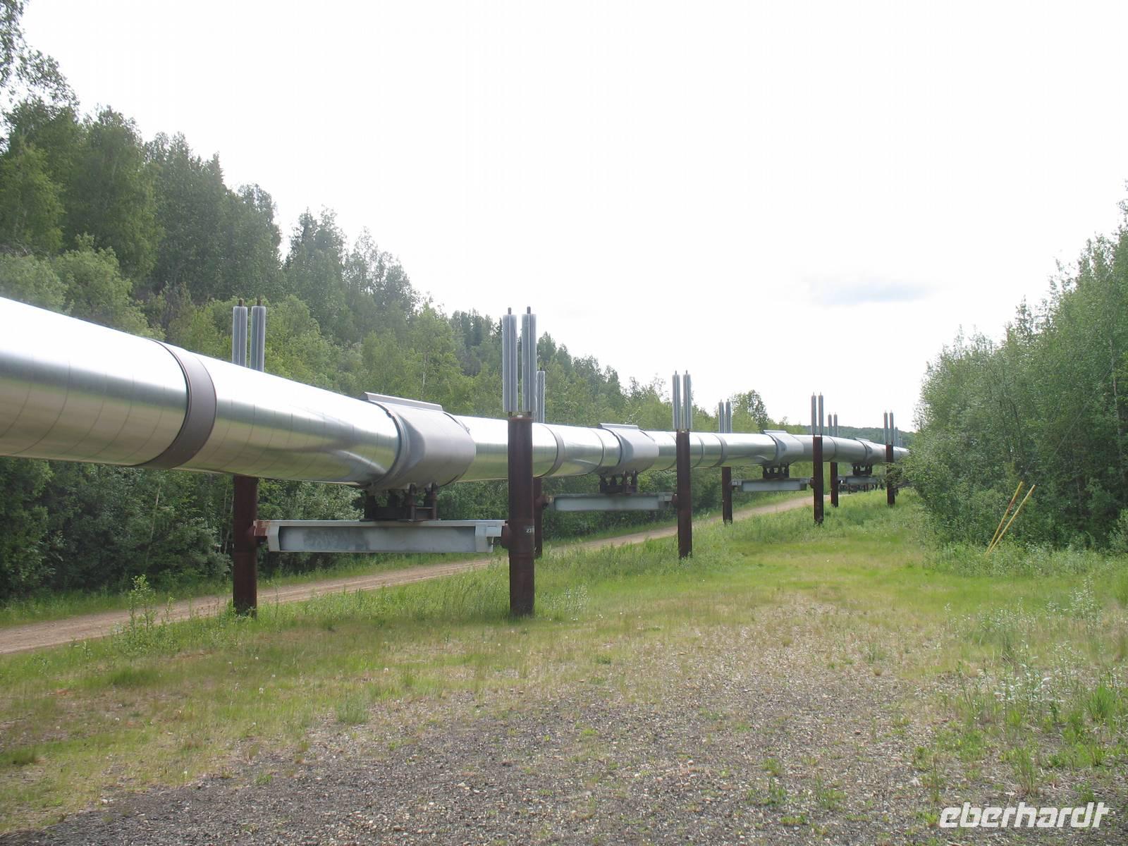 Trans-Alaska Pipeline bei Fairbanks