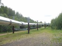 Trans-Alaska Pipeline bei Fairbanks
