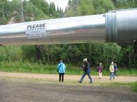 Trans-Alaska Pipeline bei Fairbanks
