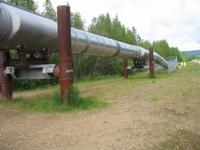 Trans-Alaska Pipeline bei Fairbanks