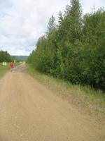 Trans-Alaska Pipeline bei Fairbanks