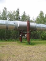 Trans-Alaska Pipeline bei Fairbanks