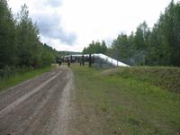Trans-Alaska Pipeline bei Fairbanks