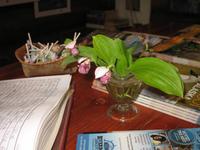 Zwischenstopp in Nenana