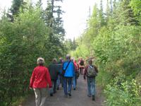 The Grande Denali Lodge Kleine Wanderung