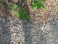 The Grande Denali Lodge Kleine Wanderung