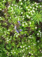 Fotostopp beim Denali State Park Visitor Information mit Blick auf den Mount McKinley 