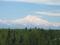 Fotostopp beim Denali State Park Visitor Information mit Blick auf den Mount McKinley 
