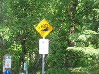 Besuch des Earthquake Parks in Anchorage