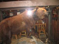 Abendessen im Restaurant 