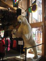 Abendessen im Restaurant 