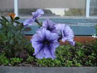 Stadtrundgang in Anchorage