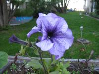 Besuch des Resoluation Parks in Anchorage