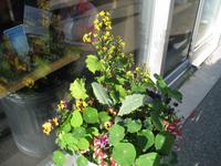 Stadtrundgang in Anchorage