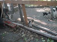 Alaska Native Heritage Center in Anchorage