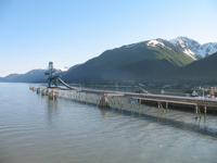 Ausschiffung mit der Norwegian Sun in Seward