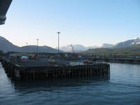 Ausschiffung mit der Norwegian Sun in Seward