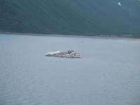 Fahrt mit der Norwegian Sun von Seward nach Icy Strait-Point