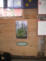 Besuch der Hoonah Packing Co.Konservenfabrik in Icy Strait Point