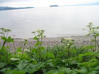 Fahrt mit der Waldbahn in Icy Strait Point