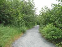 Spaziergang des Nugget Falls Trails zum Wasserfall beim Mendenhall-Gletscher