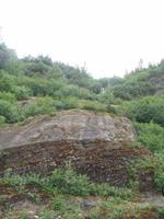 Spaziergang des Nugget Falls Trails zum Wasserfall beim Mendenhall-Gletscher