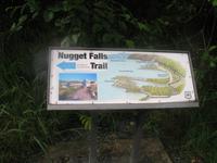 Spaziergang des Nugget Falls Trails zum Wasserfall beim Mendenhall-Gletscher