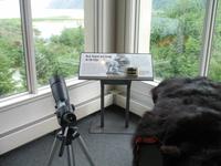 Mendenhall-Gletscher Visitor Information