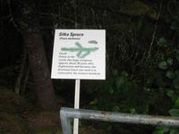 Mendenhall-Gletscher Visitor Information