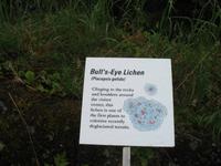 Mendenhall-Gletscher Visitor Information