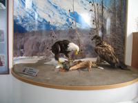 Besuch der Lachszuchtstation 