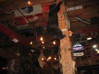 Red Dog Saloon in Juneau