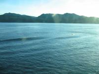 Gemeinsames Abendessen auf der Norwegian Sun