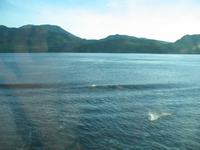 Gemeinsames Abendessen auf der Norwegian Sun