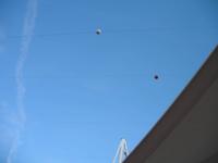 Gemeinsames Abendessen auf der Norwegian Sun