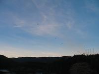 Gemeinsames Abendessen auf der Norwegian Sun